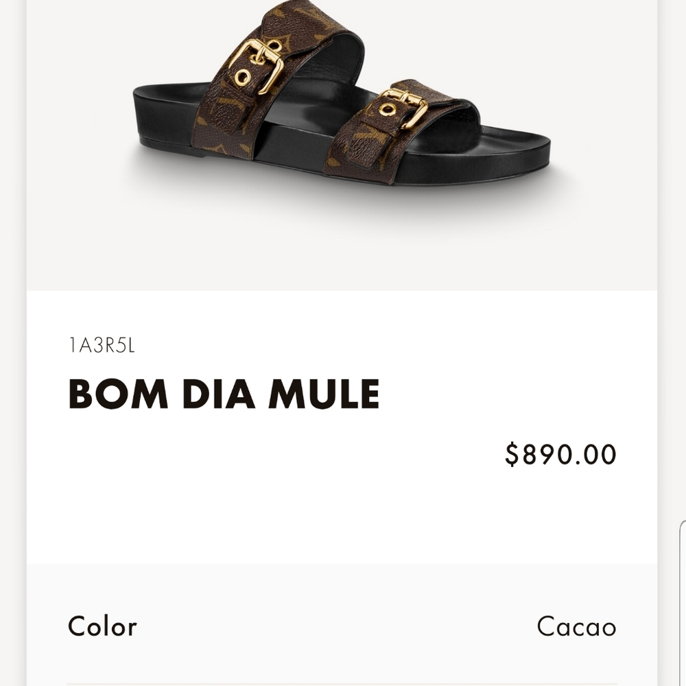 COPY - Louis Vuitton Bom Dia  Mule Sandal